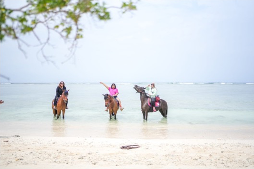 The Gili Island - West Nusa Tenggara