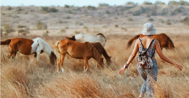 Sumba – Timeless Island of Horses & Hills